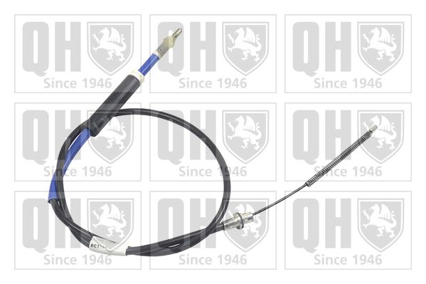 QH_BC3397.JPG