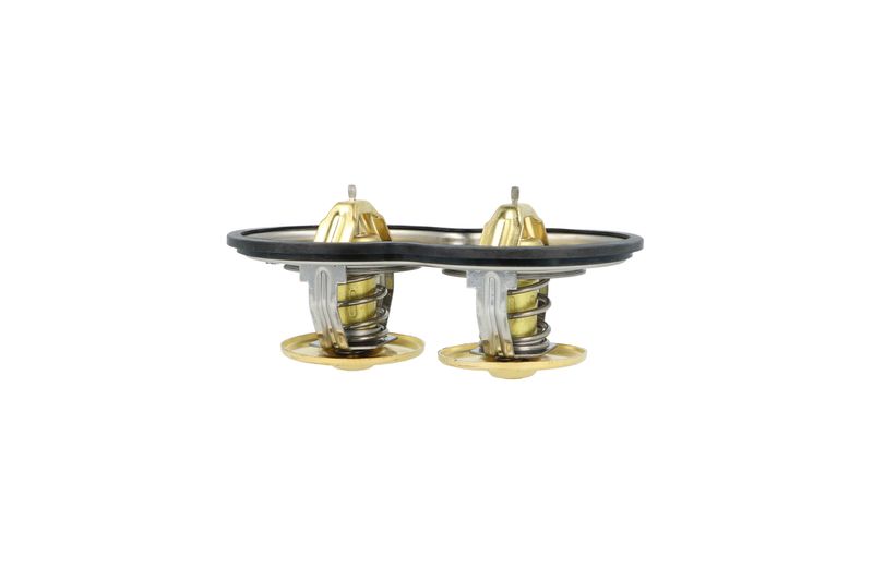 Termostat, chladivo 725374