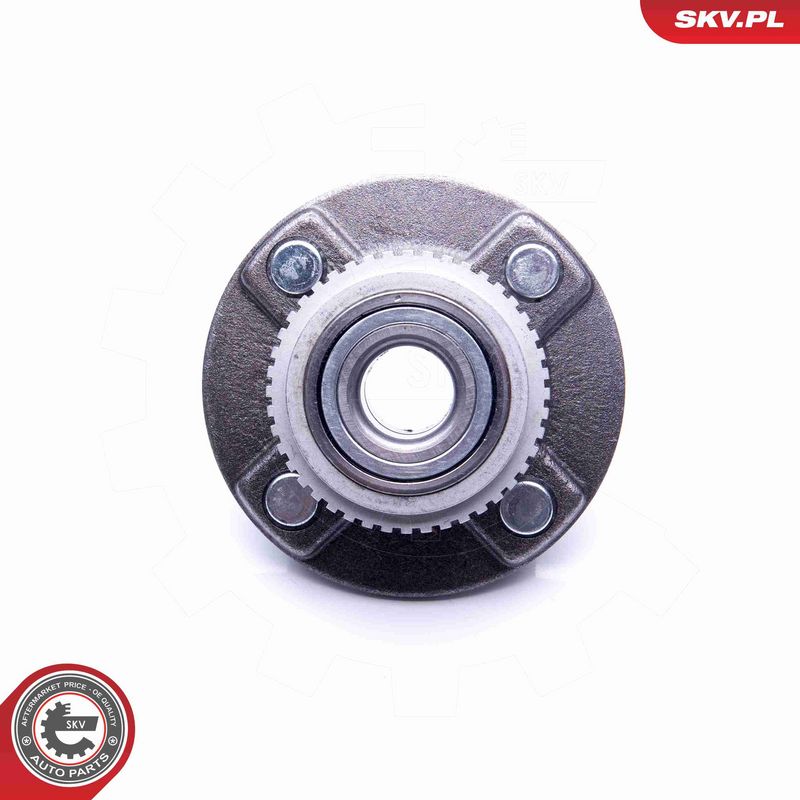 ESEN SKV 29SKV211 Wheel Bearing Kit