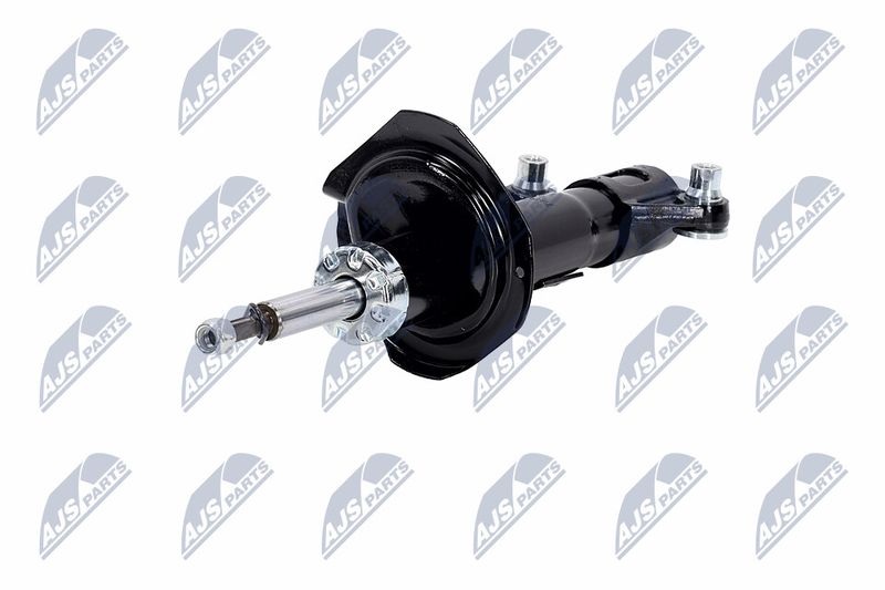 Amort, NTY A-NS-016