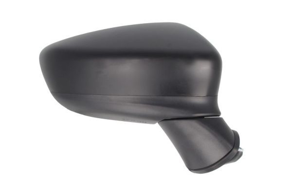 BLIC 5402-14-2001724P Exterior Mirror
