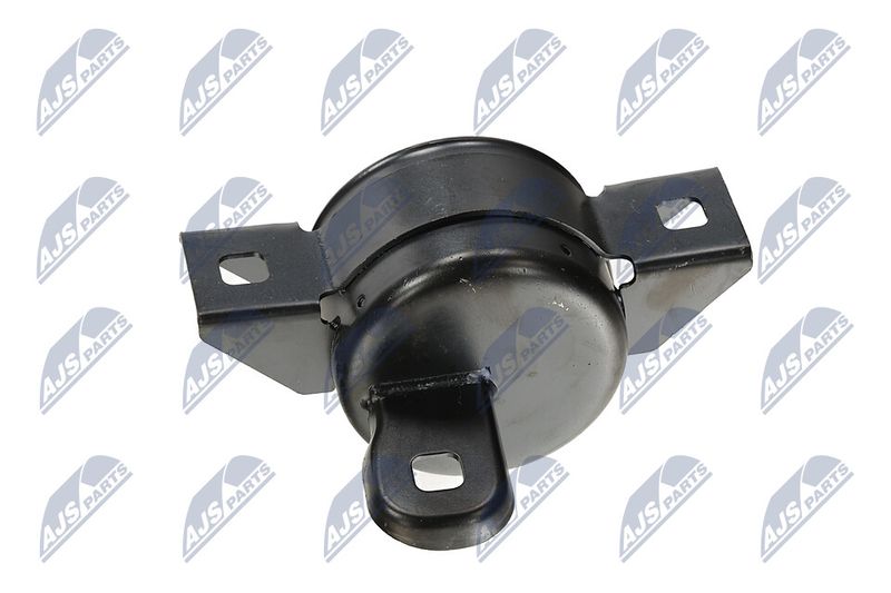 Paigutus, Mootor, NTY ZPS-DW-011