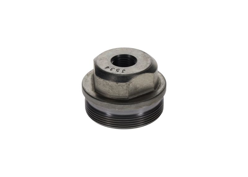 BOSCH F002D12534 Screw