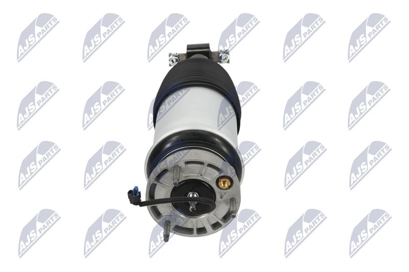 Amort, NTY A-CH-098