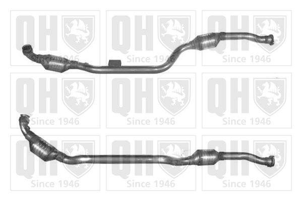 QH_QCAT91124H.JPG