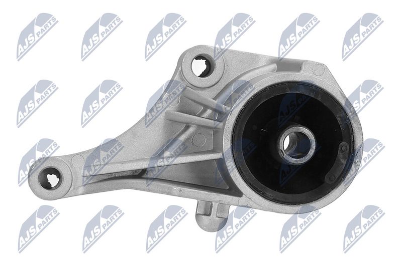 Paigutus, Mootor, NTY ZPS-PL-007