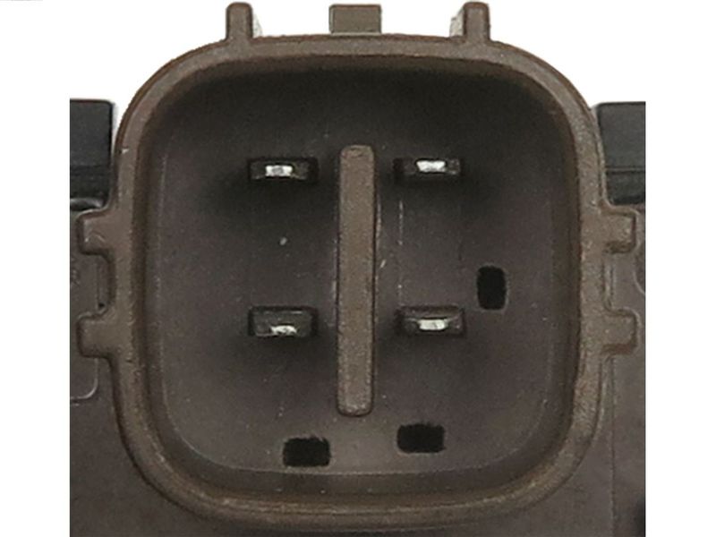 284953.JPG