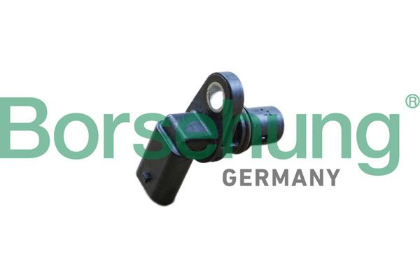 Andur, Nukkvõllipositsioon, Borsehung B11854