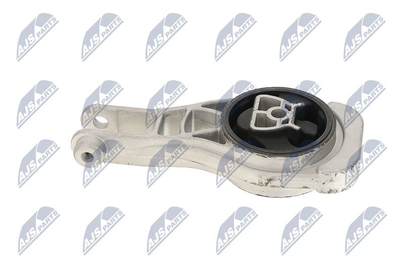Paigutus, Mootor, NTY ZPS-PL-079
