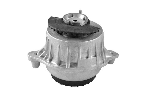 TEDGUM TED98110 Mounting, engine