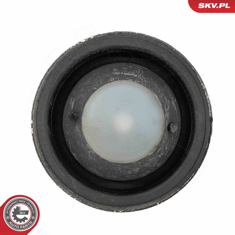 Paigutus, Mootor, ESEN SKV 75SKV101