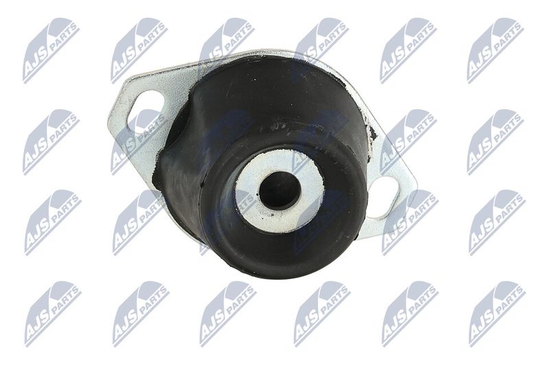Paigutus, Mootor, NTY ZPS-PE-005