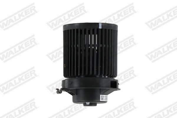 wbl01478_5352756.JPG