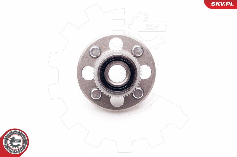 ESEN SKV 29SKV054 Wheel Bearing Kit