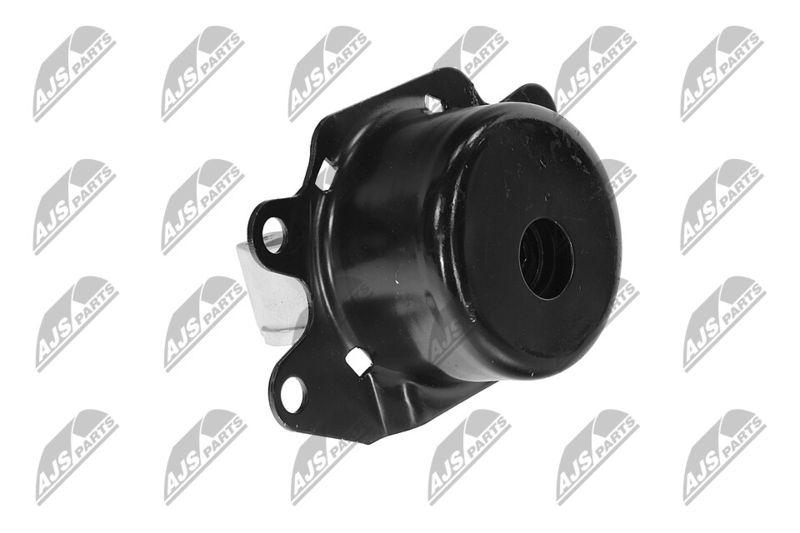 Paigutus, Mootor, NTY ZPS-PL-053