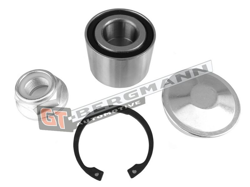 GT-BERGMANN Automotive Rato guolio komplektas