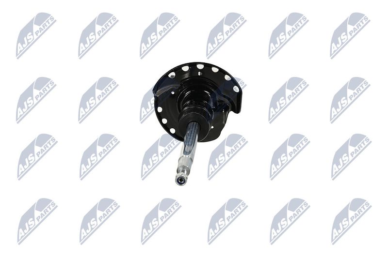 Amort, NTY A-LR-033