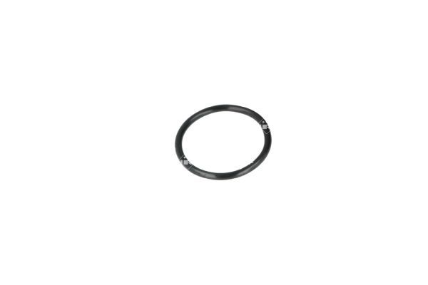 NRF 775038 Coolant Flange