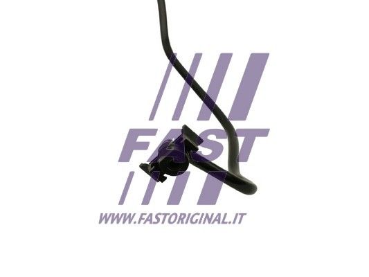 FT61015_2_1.JPG