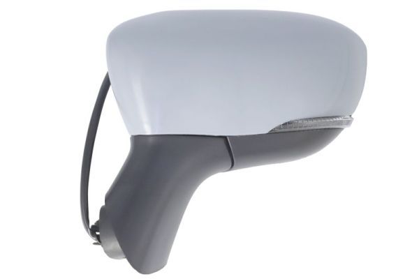BLIC 5402-09-1922310P Exterior Mirror