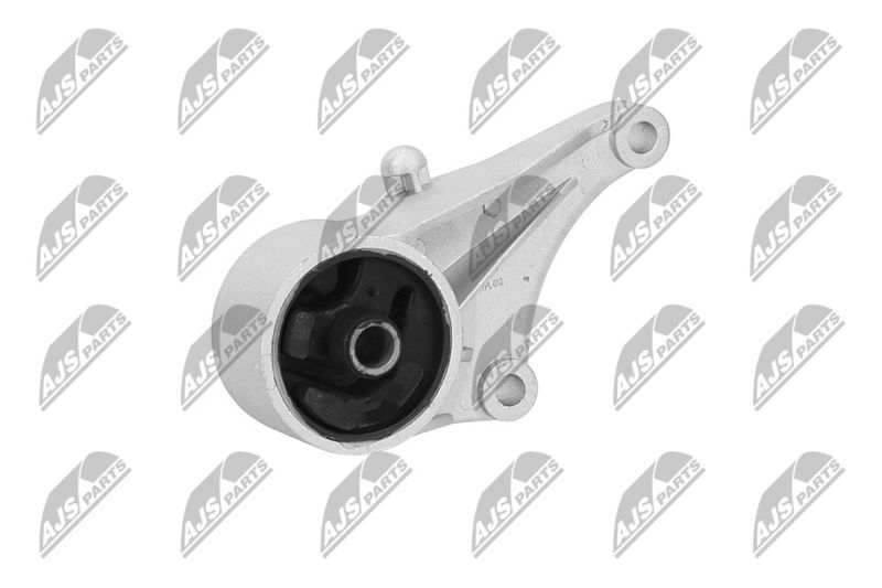 Paigutus, Mootor, NTY ZPS-PL-012