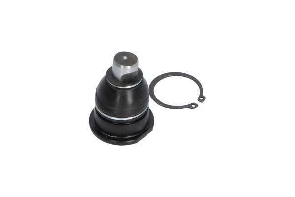 Kavo Parts SBJ-10011 Šarnyras