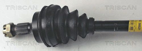 854038521_2.JPG