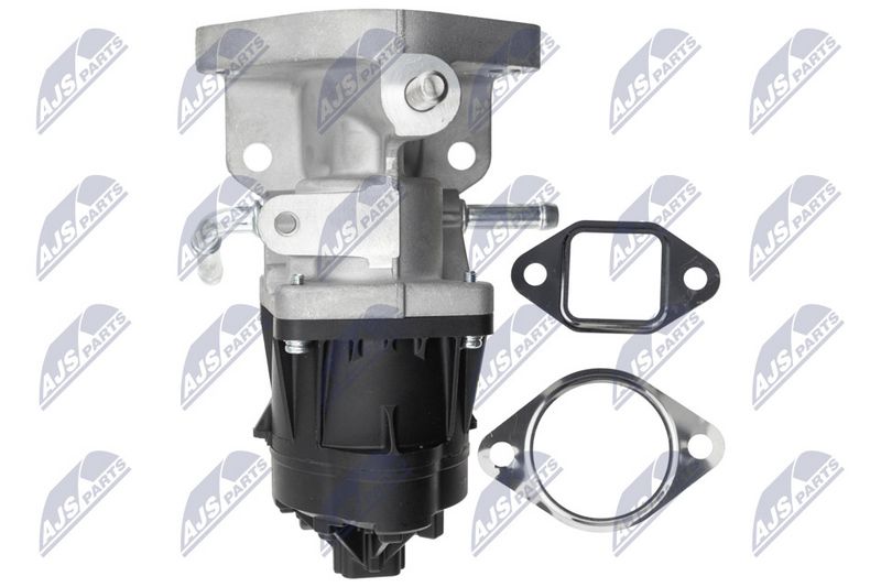 NTY EGR-MZ-007 EGR Valve