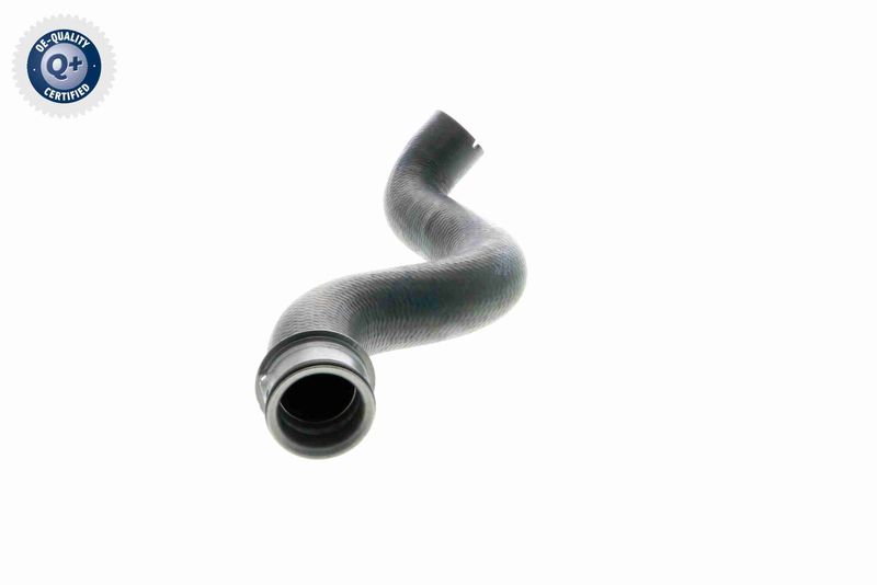 VAICO V30-1664 Radiator Hose