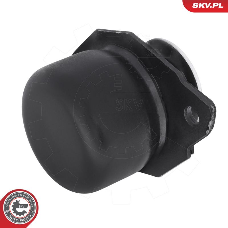 Paigutus, Mootor, ESEN SKV 75SKV115