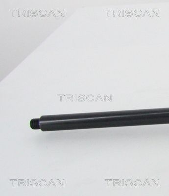 TRIS87101022551200_2.JPG