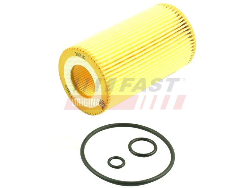 FAST FT38011 - Alyvos filtras