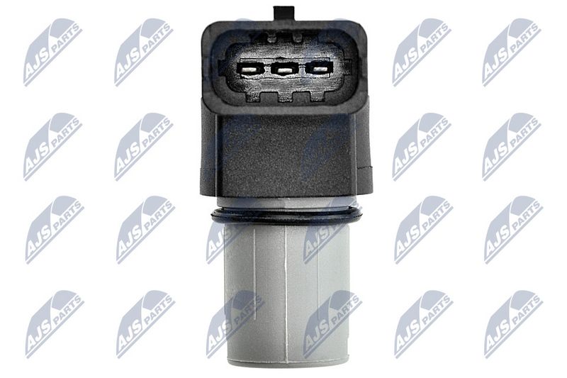 Andur, Nukkvõllipositsioon, NTY ECP-CH-019