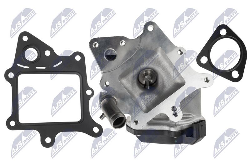 EGR-klapp, NTY EGR-FT-021