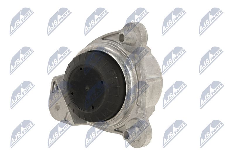 Paigutus, Mootor, NTY ZPS-ME-065