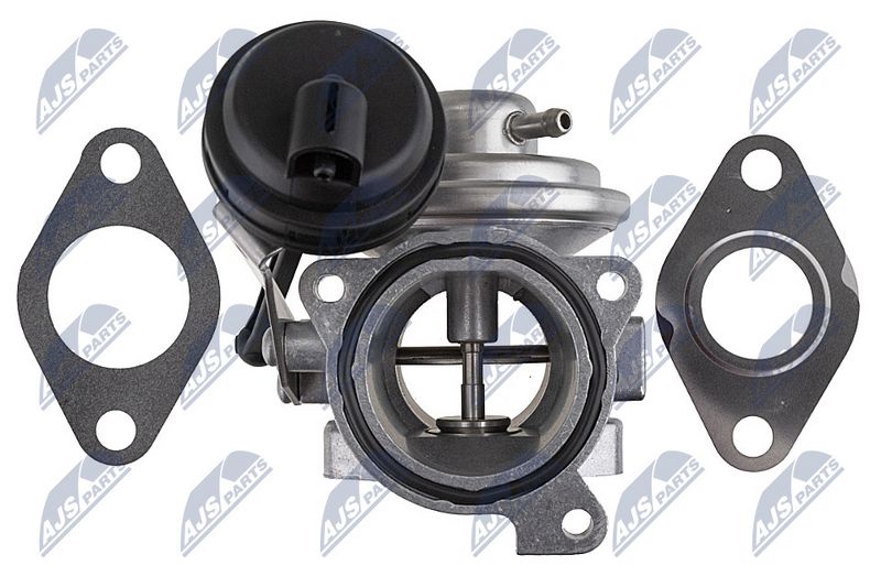 EGR-klapp, NTY EGR-WW-031