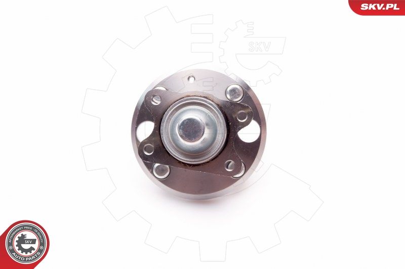 ESEN SKV 29SKV111 Wheel Bearing Kit