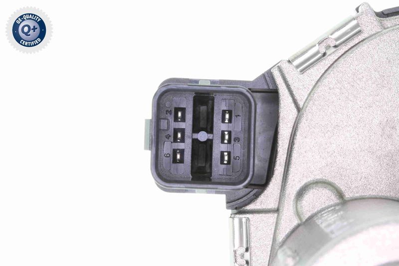 V20-81-0010_03.JPG