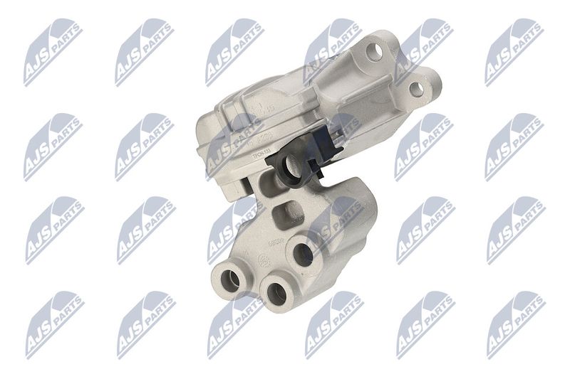 Paigutus, Mootor, NTY ZPS-CH-133