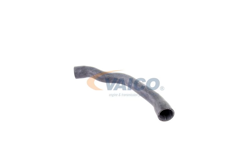 VAICO V30-2099 Radiator Hose