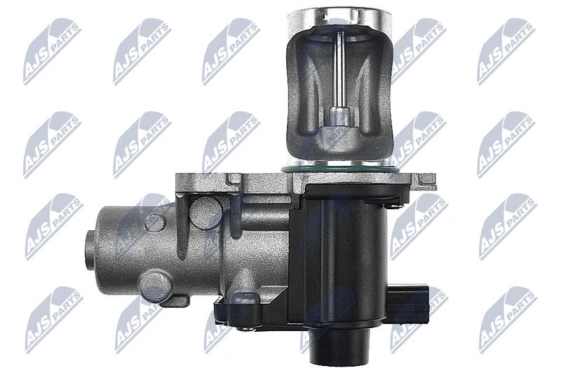 EGR-klapp, NTY EGR-AU-008