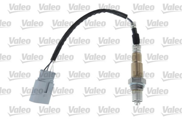 OXYGENSENSORS_368102_001.JPG