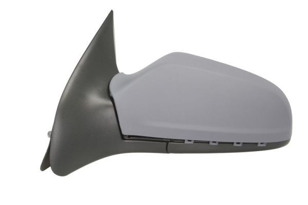 BLIC 5402-04-1129239P Exterior Mirror