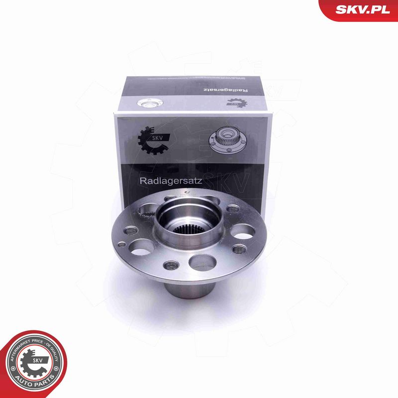 ESEN SKV 29SKV284 - Wheel Bearing Kit