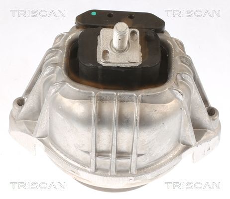 TRISCAN felfüggesztés, motor 8505 11106