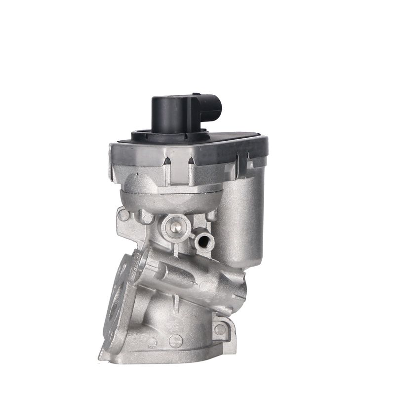 EGR-klapp, NISSENS 98151