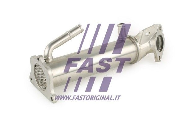 FT60407_1_1.JPG