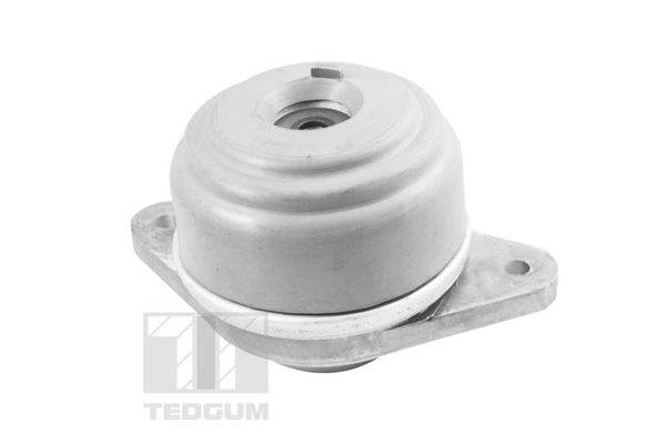 TEDGUM TED37501 Mounting, engine