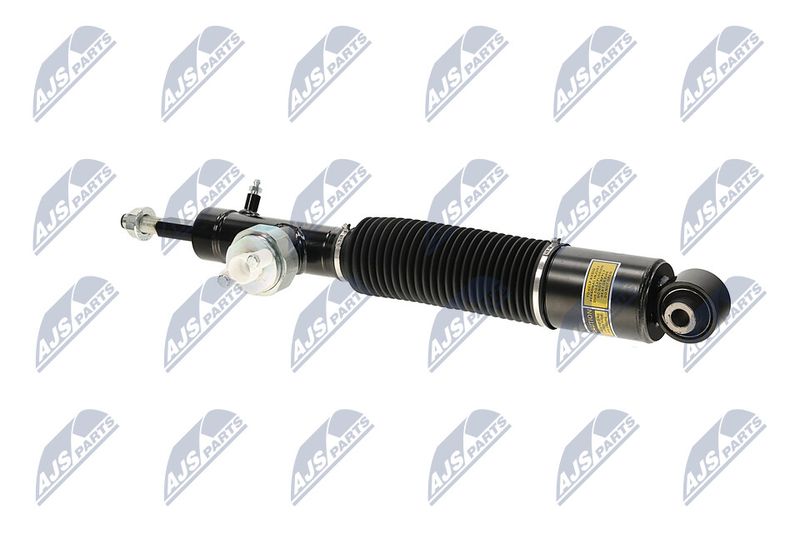 Amort, NTY A-NS-055
