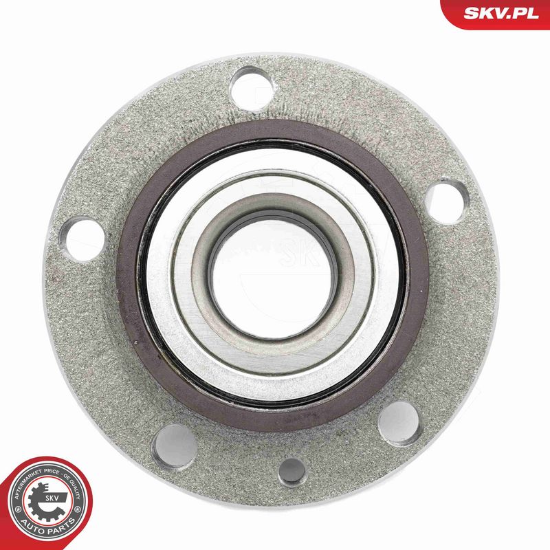 ESEN SKV 29SKV572 Wheel Bearing Kit